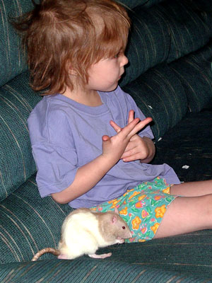 Peregrine and Rat on Couch